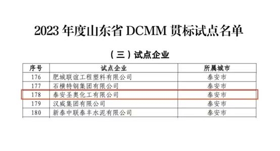 泰安圣奧成功入選山東省DCMM貫標(biāo)試點企業(yè)名單