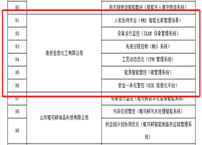 泰安圣奧入選泰安市智能制造優(yōu)秀場(chǎng)景名單